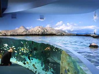 Aquarium de La Rochelle